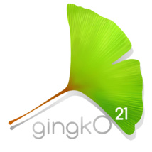 Logo GINGKO 21 SARL