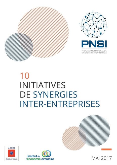 Couverture receuil 10 initiatives PNSI