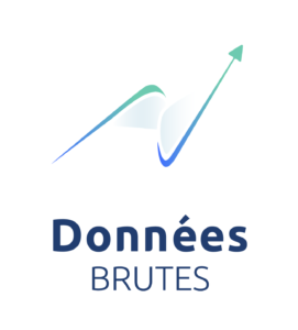Logo Données Brutes