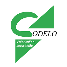 Logo Francine Coelho