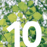 Guide opérationnel « 10 étapes pour intégrer l’économie circulaire dans ses achats »