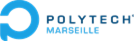 logo polytech